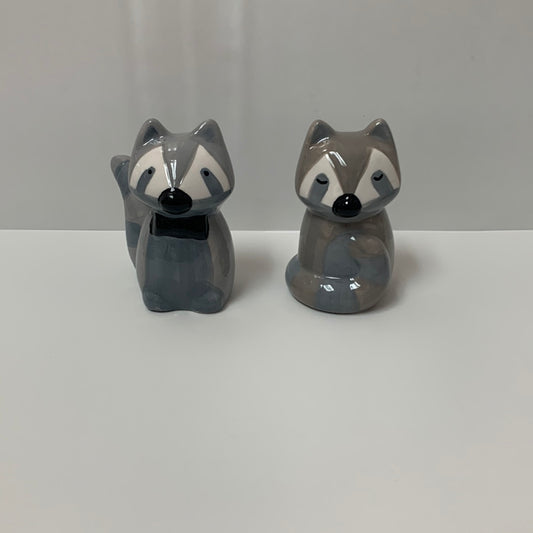 Raccoon Salt & Pepper Set ￼