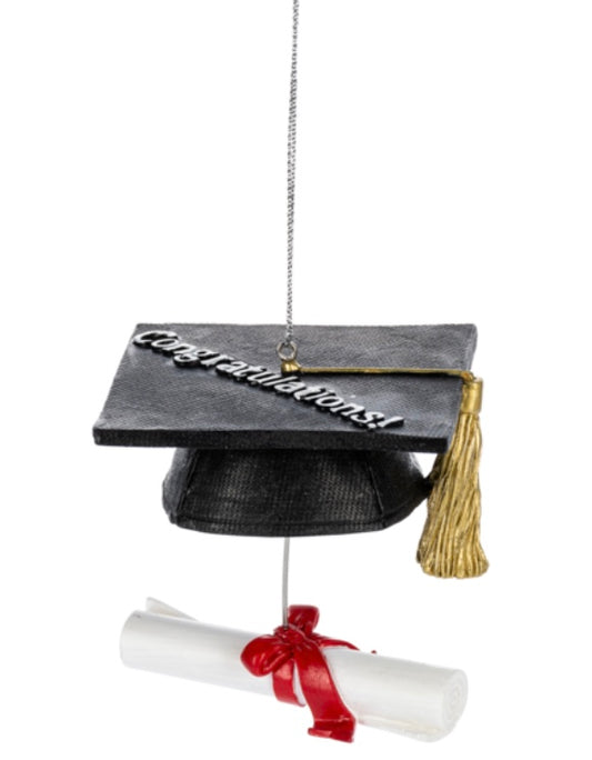 Grad Hat with Diploma